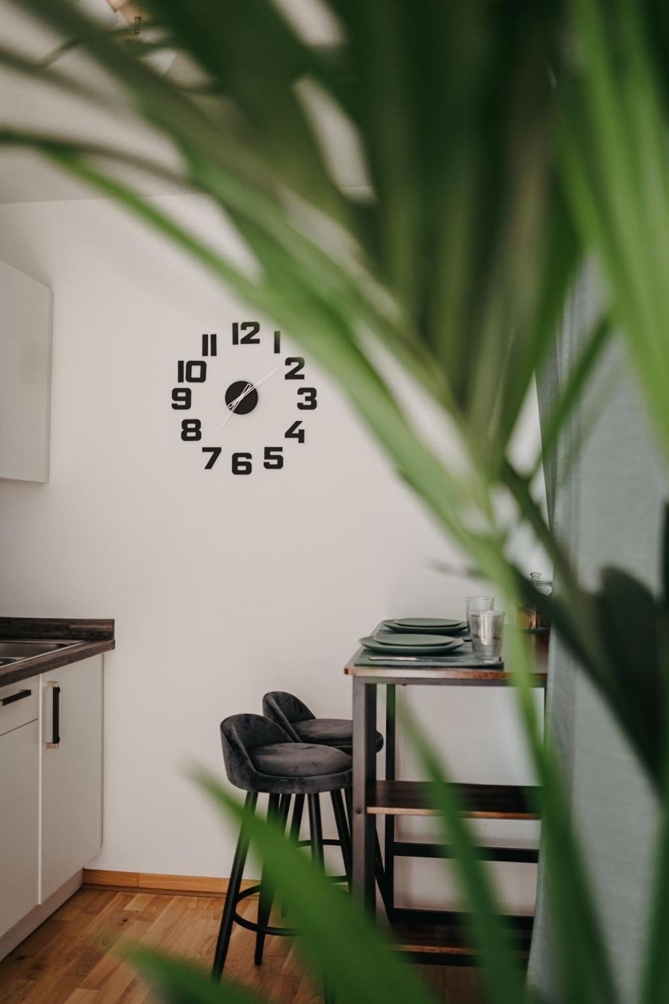 Neue Wohnung Im Zentrum ドレスデン エクステリア 写真