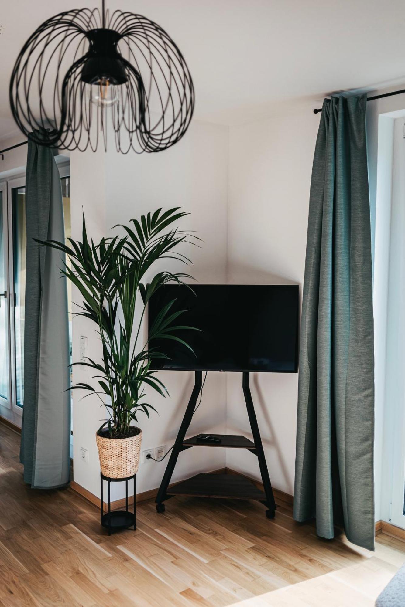 Neue Wohnung Im Zentrum ドレスデン エクステリア 写真